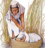 image05